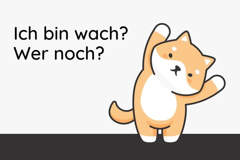 Flips auf Schnitzeljagd