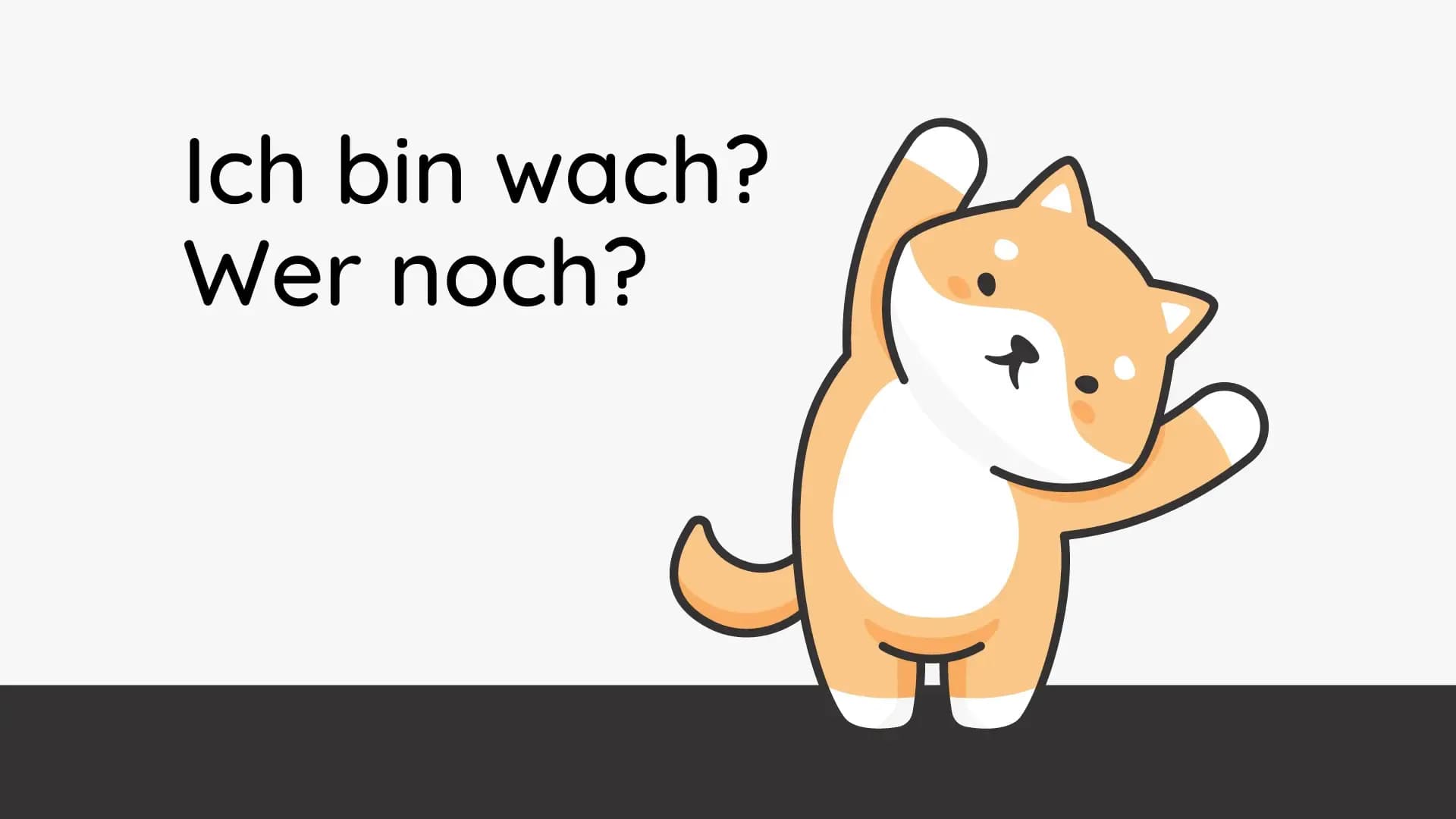 Flips auf Schnitzeljagd