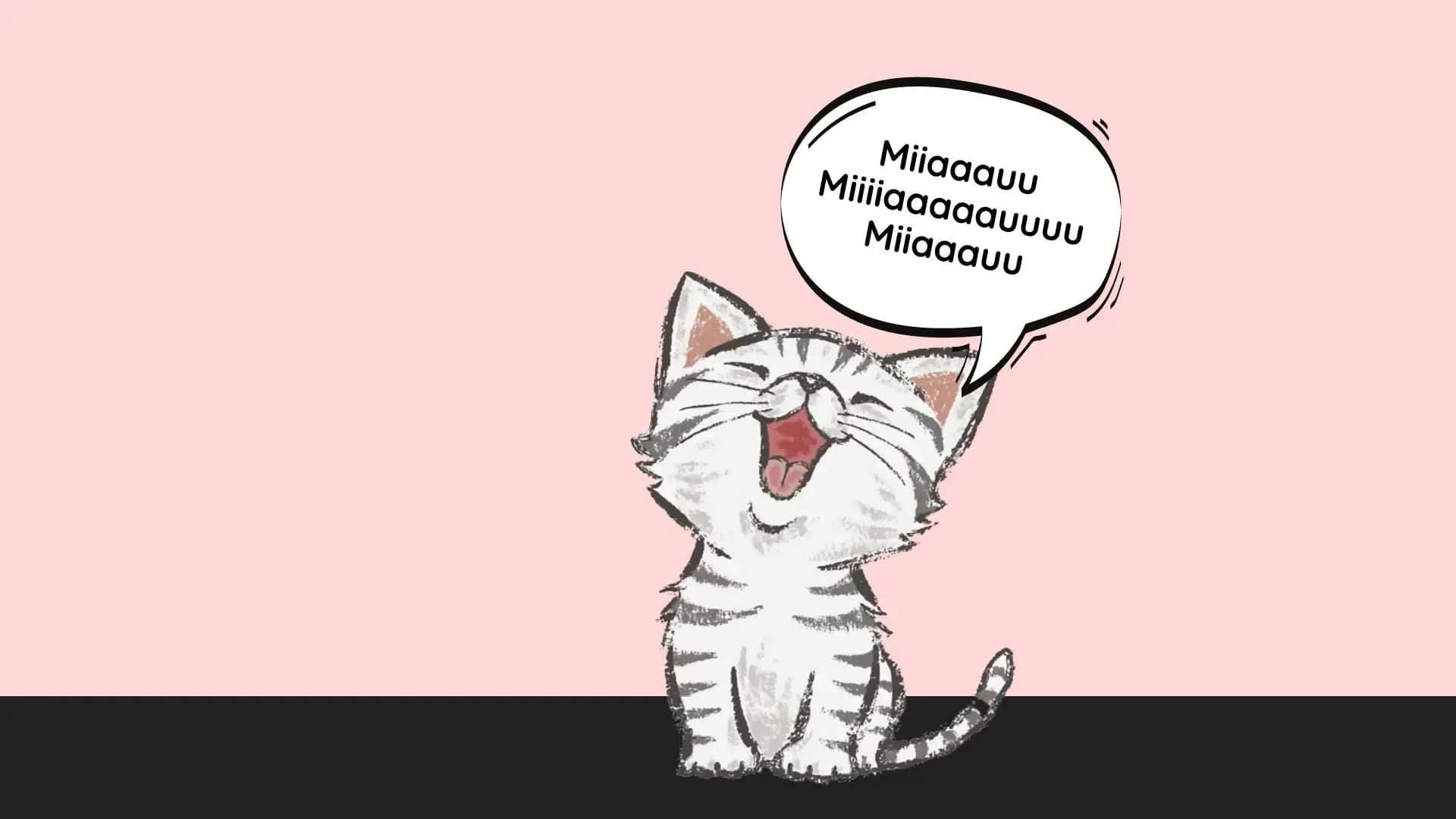 Die kleine clevere Katze Emilia